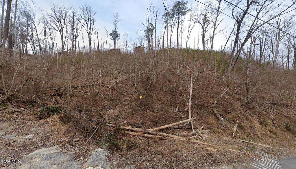 Photo of 1031 Deep Hollow Road, Gatlinburg, TN 37738 (MLS # 9989077)