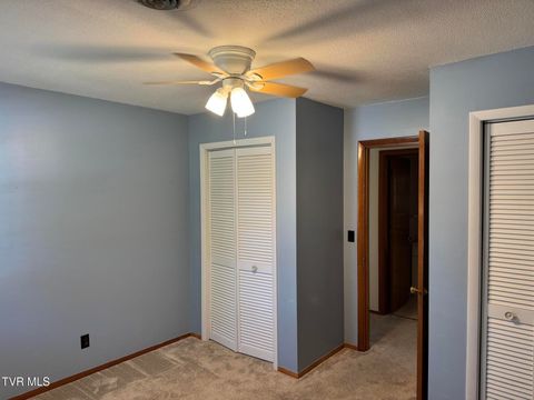 Tiny photo for 115 York Dr Drive, Greeneville, TN 37745 (MLS # 9986463)