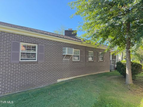 Tiny photo for 115 York Dr Drive, Greeneville, TN 37745 (MLS # 9986463)