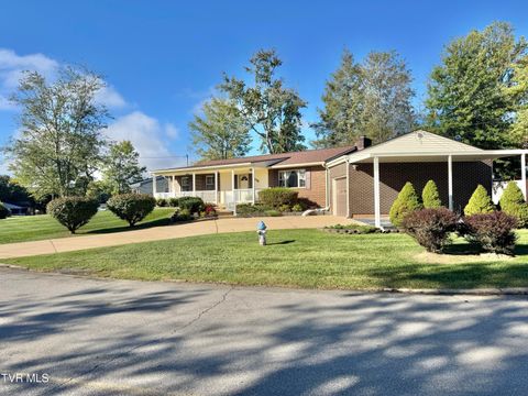 Tiny photo for 115 York Dr Drive, Greeneville, TN 37745 (MLS # 9986463)