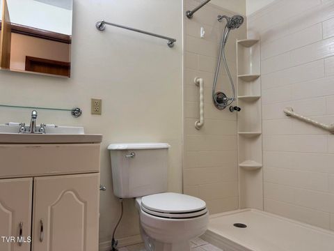 Tiny photo for 115 York Dr Drive, Greeneville, TN 37745 (MLS # 9986463)