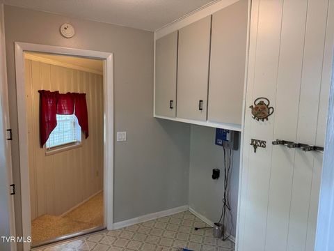 Tiny photo for 115 York Dr Drive, Greeneville, TN 37745 (MLS # 9986463)