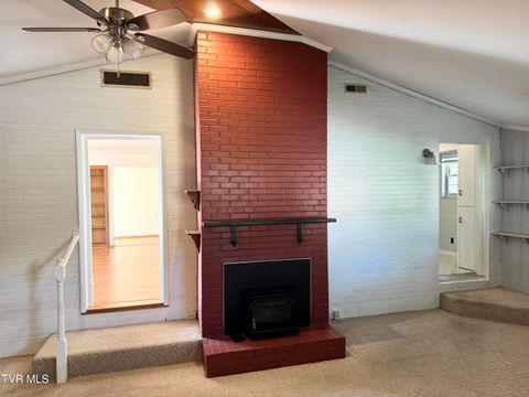 Tiny photo for 115 York Dr Drive, Greeneville, TN 37745 (MLS # 9986463)