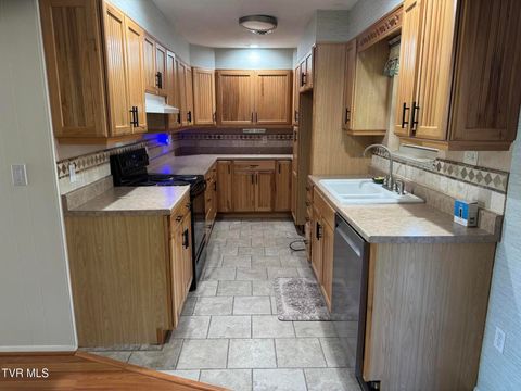 Tiny photo for 115 York Dr Drive, Greeneville, TN 37745 (MLS # 9986463)