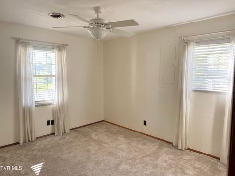 Tiny photo for 115 York Dr Drive, Greeneville, TN 37745 (MLS # 9986463)