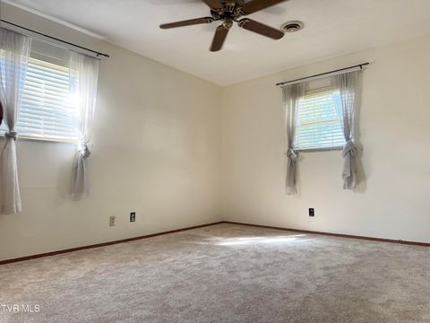 Tiny photo for 115 York Dr Drive, Greeneville, TN 37745 (MLS # 9986463)