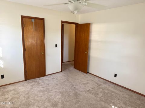 Tiny photo for 115 York Dr Drive, Greeneville, TN 37745 (MLS # 9986463)