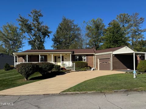 Photo of 115 York Dr Drive, Greeneville, TN 37745 (MLS # 9986463)