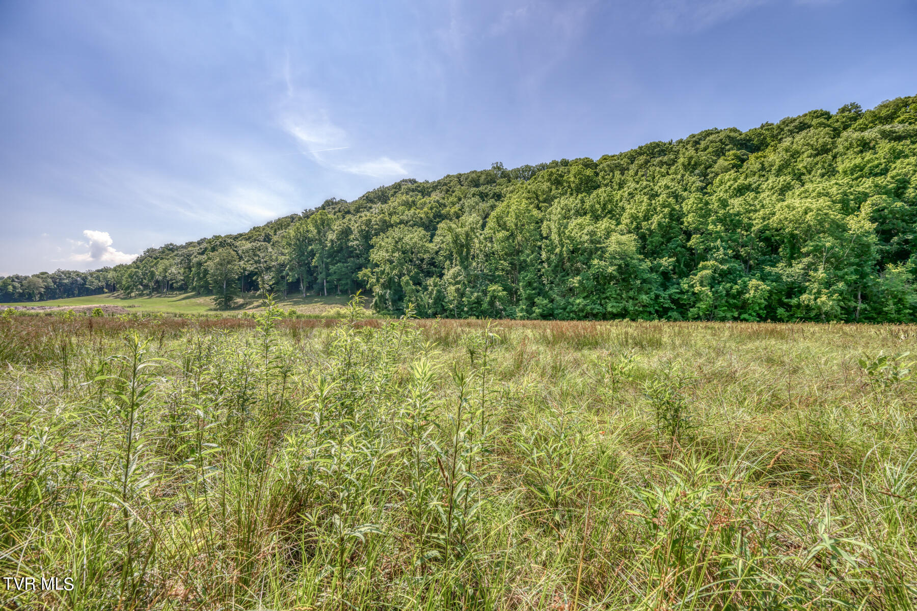 Tbd Stone East Drive, Kingsport, Tennessee image 15