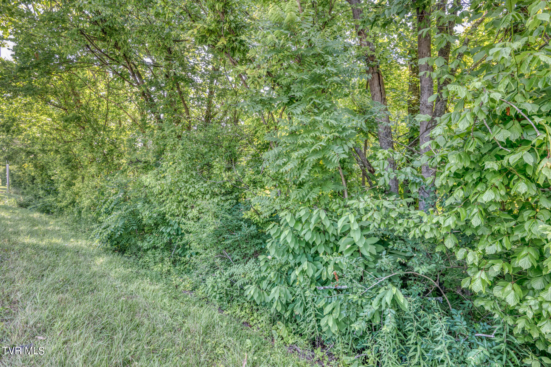 Tbd Stone East Drive, Kingsport, Tennessee image 5