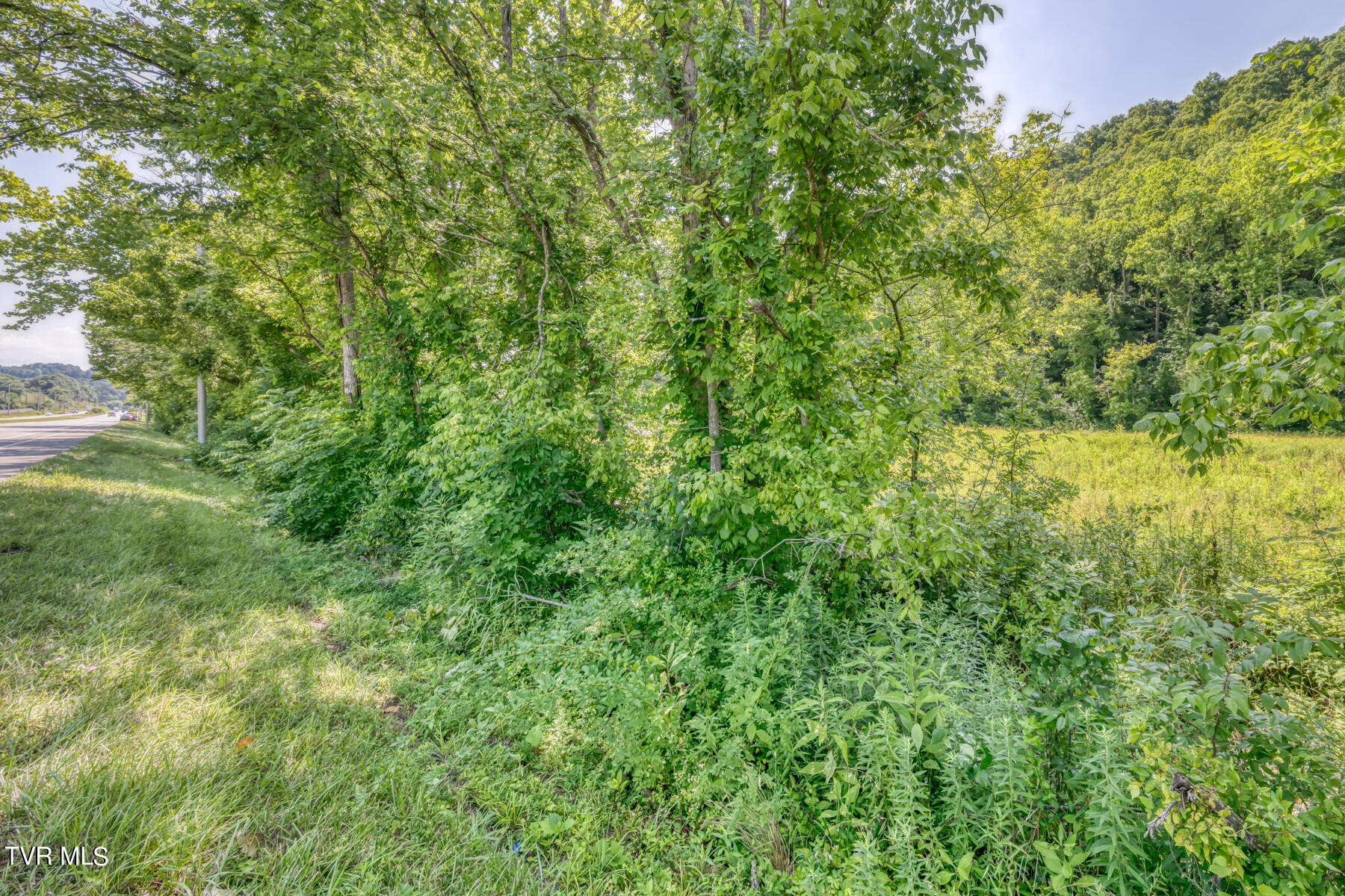 Tbd Stone East Drive, Kingsport, Tennessee image 23