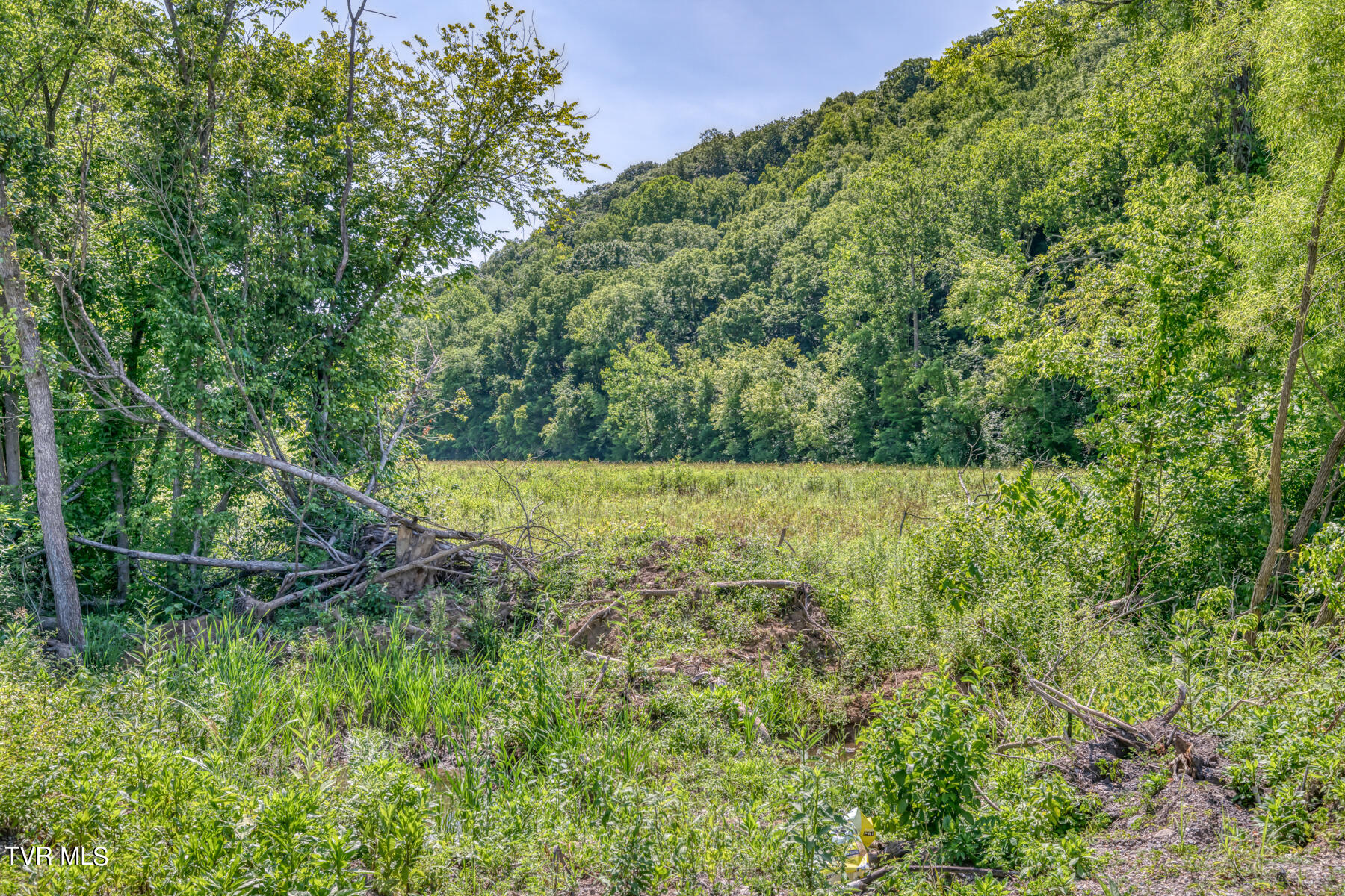 Tbd Stone East Drive, Kingsport, Tennessee image 8