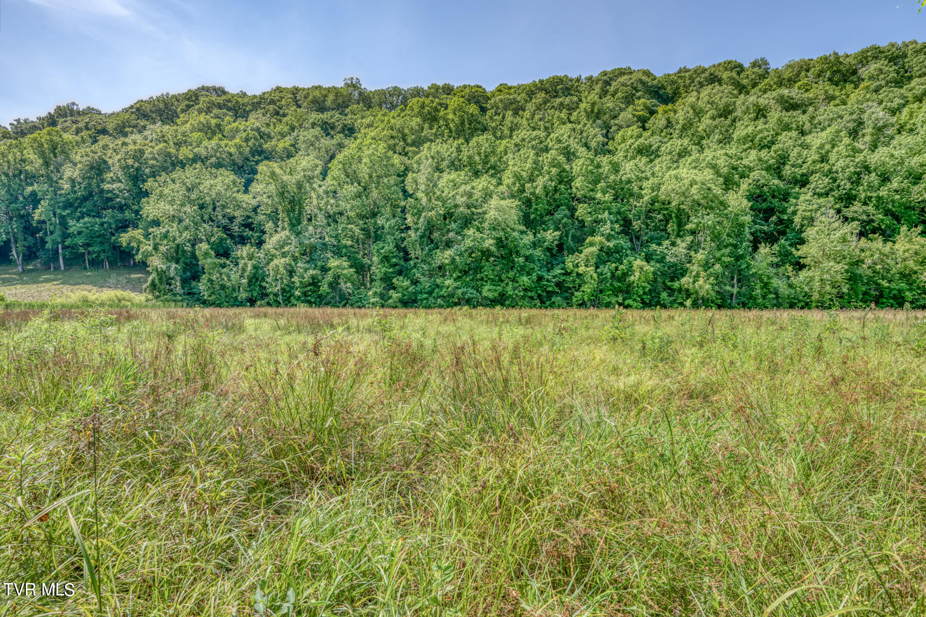 Tbd Stone East Drive, Kingsport, Tennessee image 3