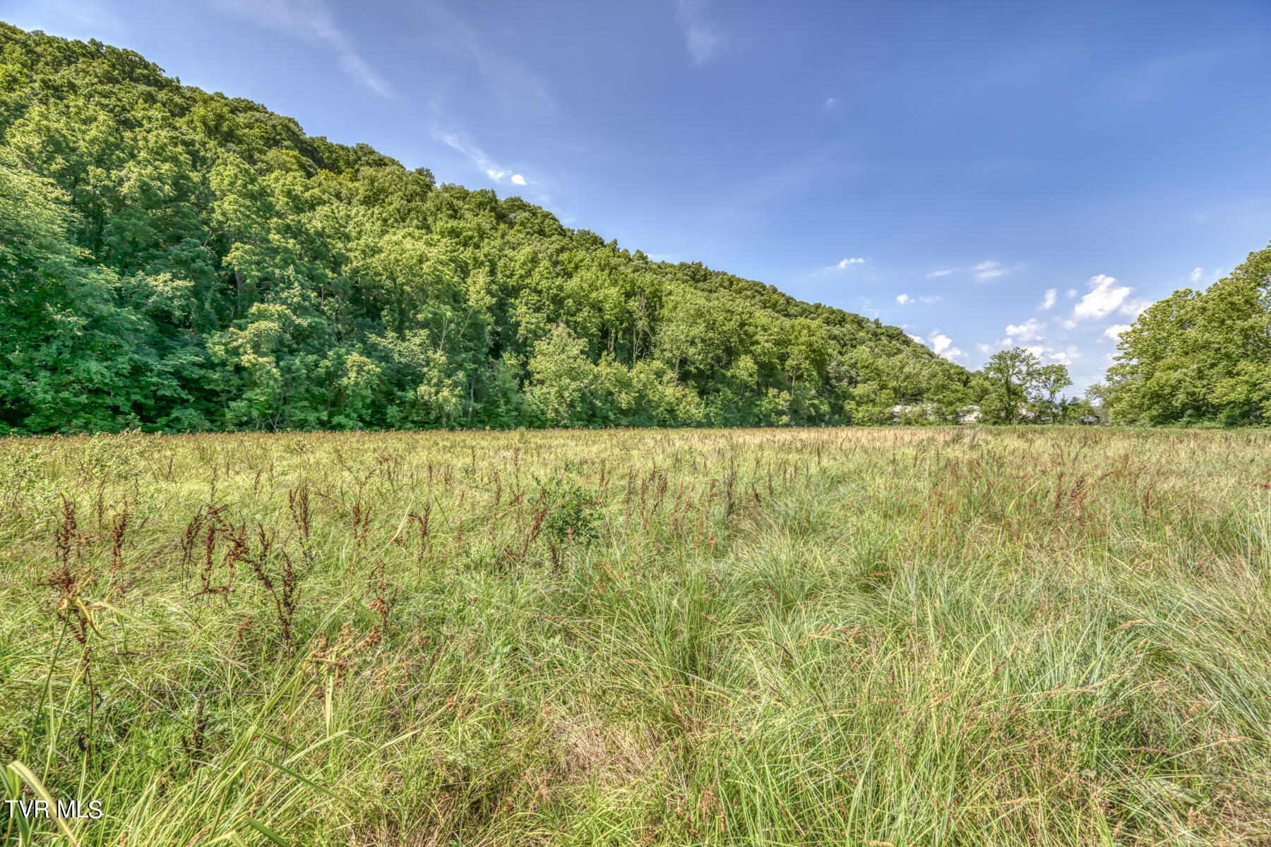 Tbd Stone East Drive, Kingsport, Tennessee image 18