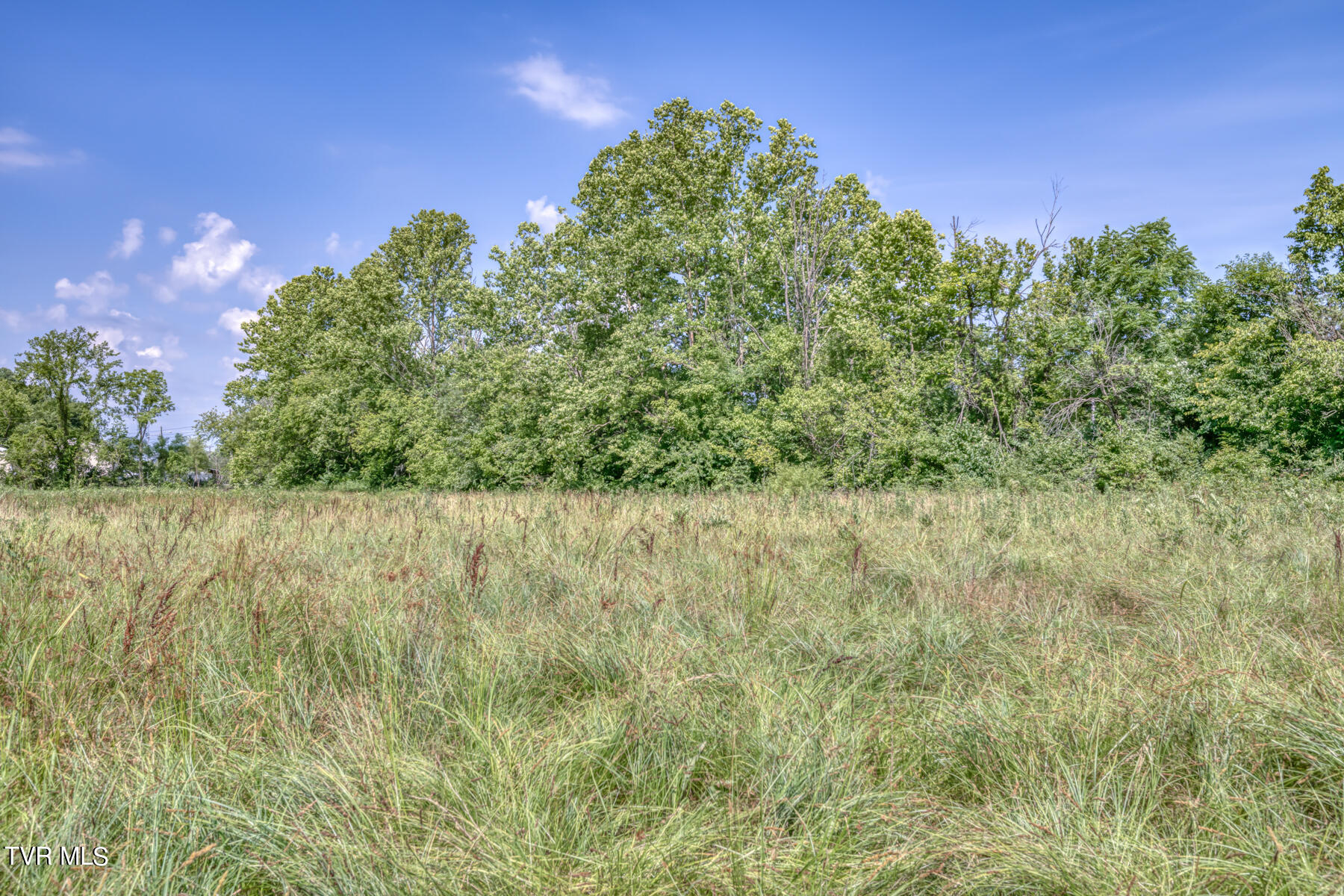 Tbd Stone East Drive, Kingsport, Tennessee image 2