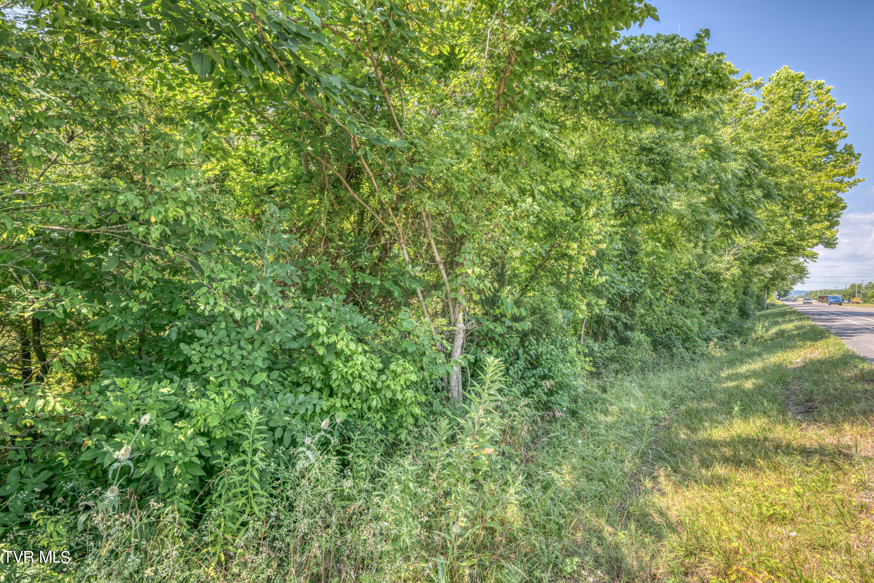 Tbd Stone East Drive, Kingsport, Tennessee image 17