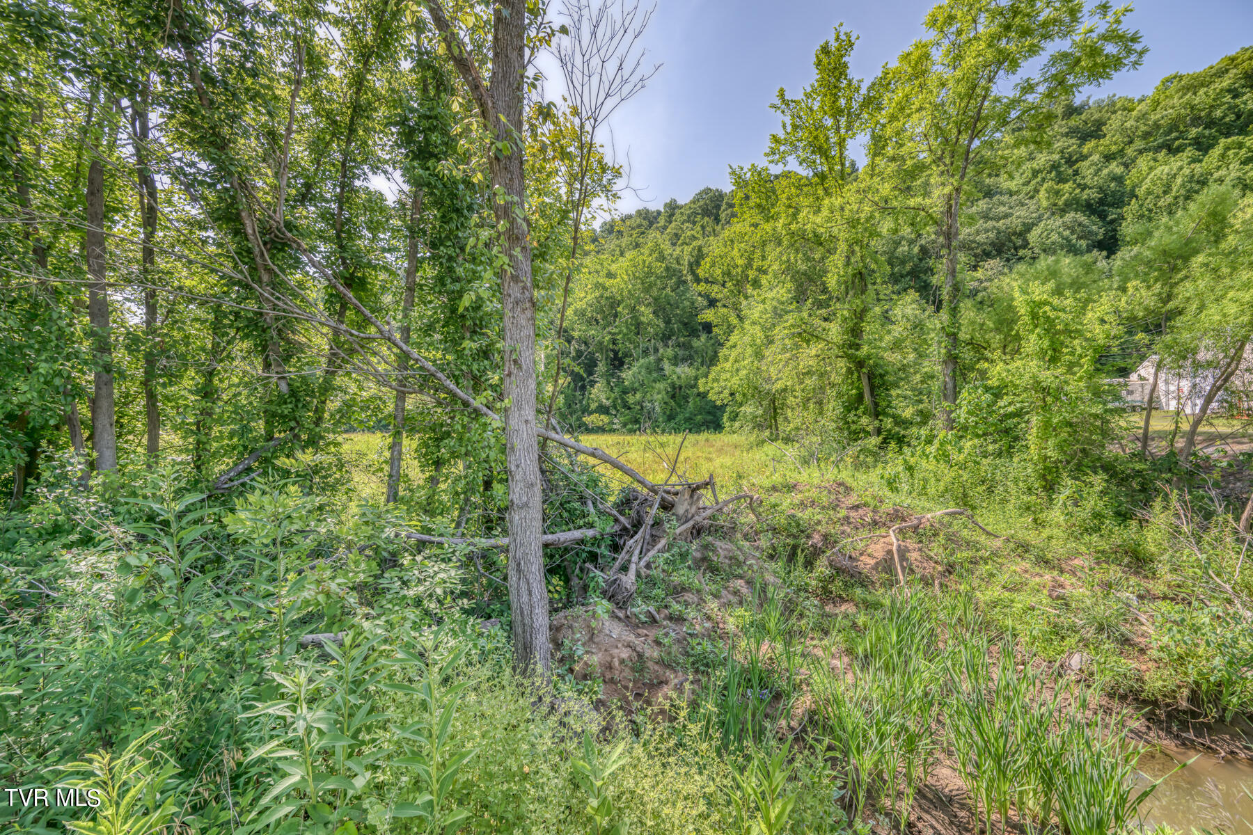 Tbd Stone East Drive, Kingsport, Tennessee image 14