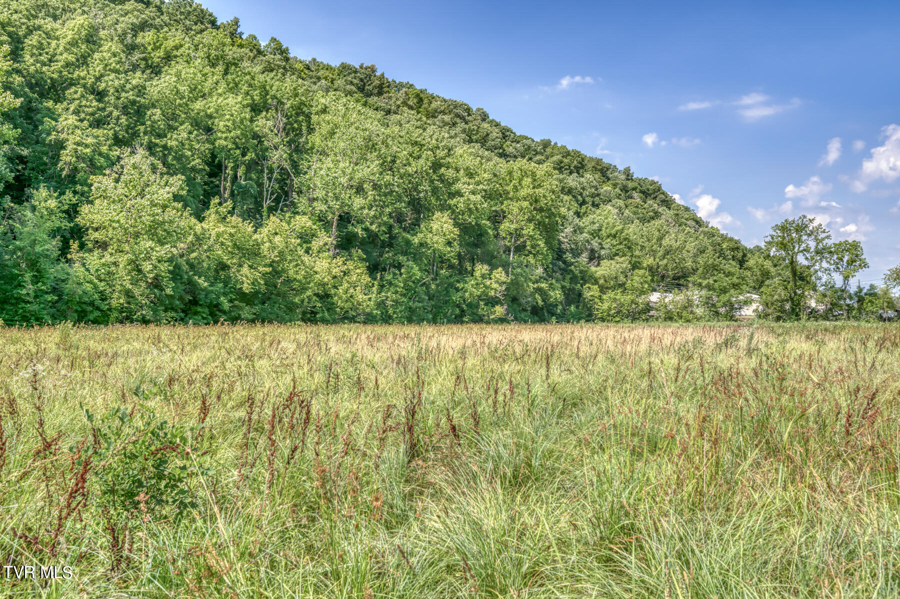 Tbd Stone East Drive, Kingsport, Tennessee image 4