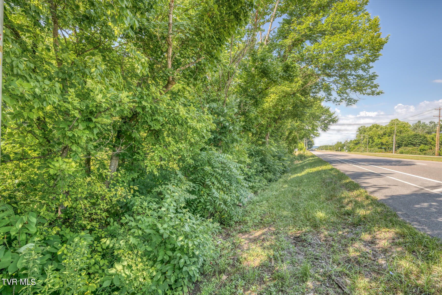 Tbd Stone East Drive, Kingsport, Tennessee image 24
