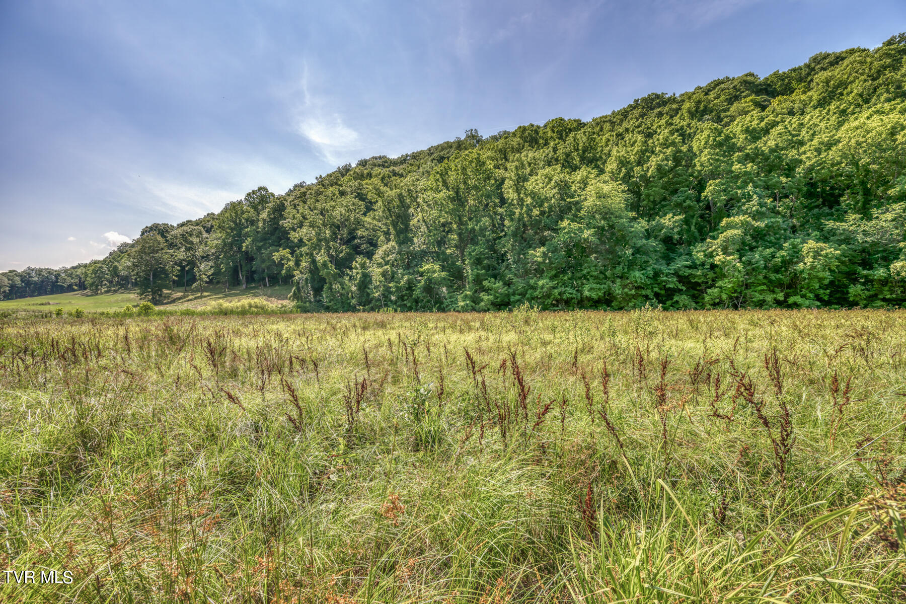 Tbd Stone East Drive, Kingsport, Tennessee image 7