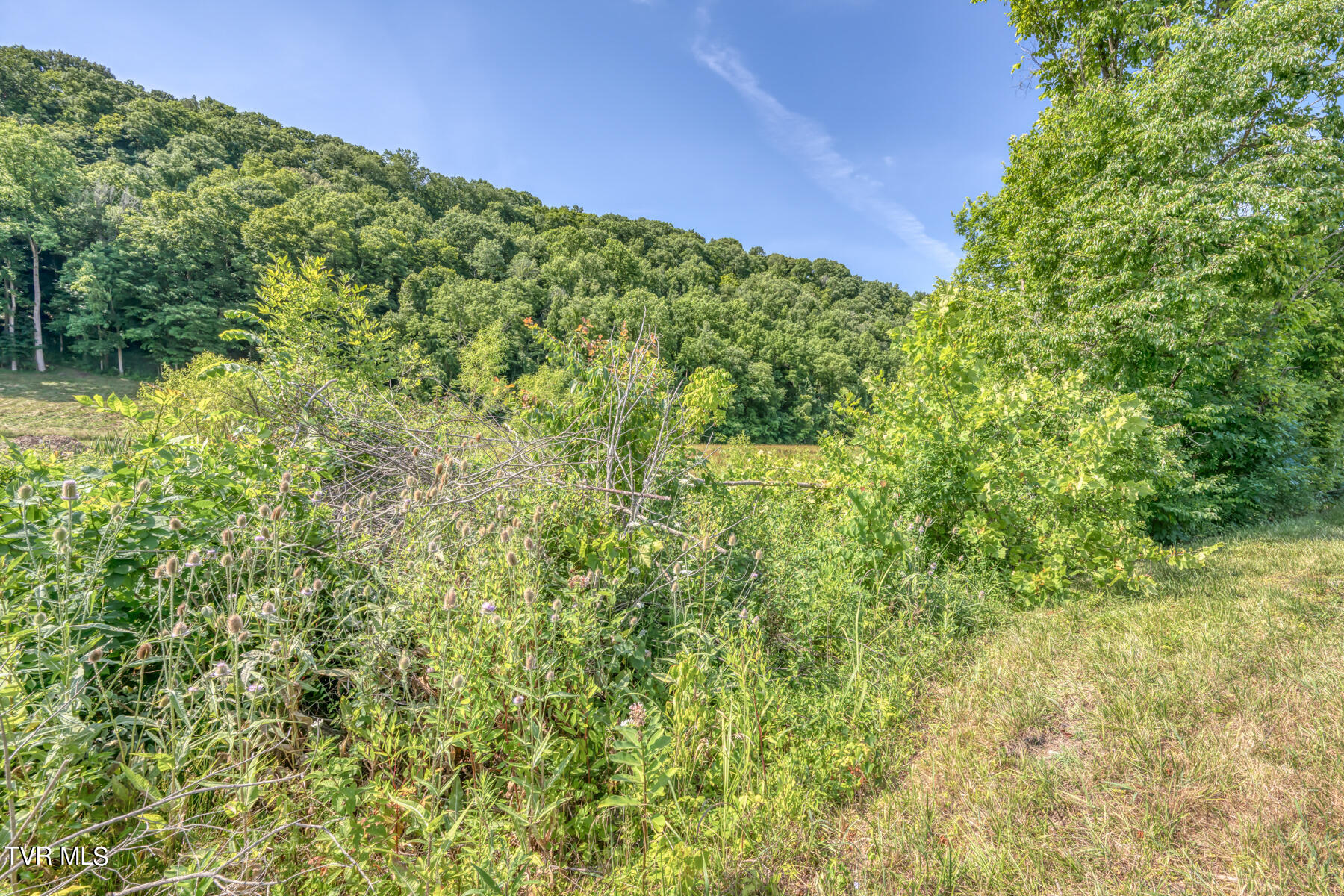 Tbd Stone East Drive, Kingsport, Tennessee image 22