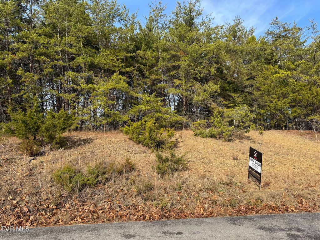 Photo of 2476 Jim Henry Road, Dandridge, TN 37725 (MLS # 9988729)