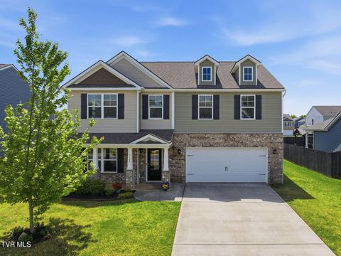 Photo of 1129 Raccoon Lane, Piney Flats, TN 37686 (MLS # 9994775)