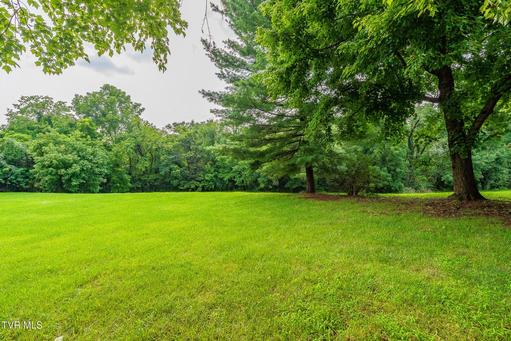 Photo of 221 Bent Street, Kingsport, TN 37660 (MLS # 9998783)