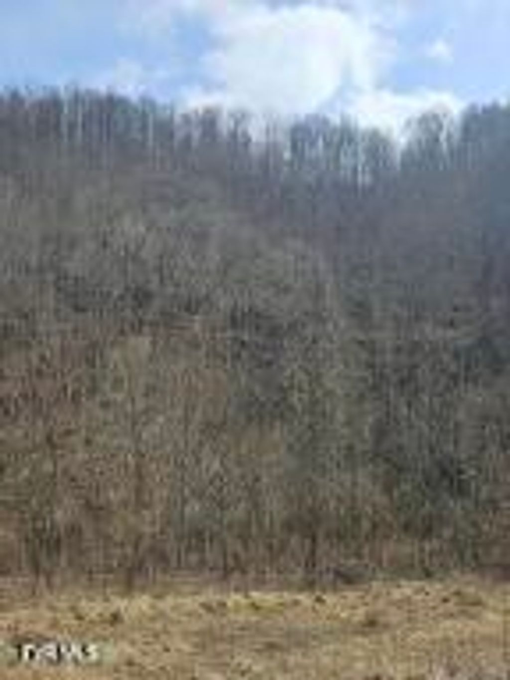 Photo of 792 Adria Road, North Tazewell, VA 24630 (MLS # 9994243)