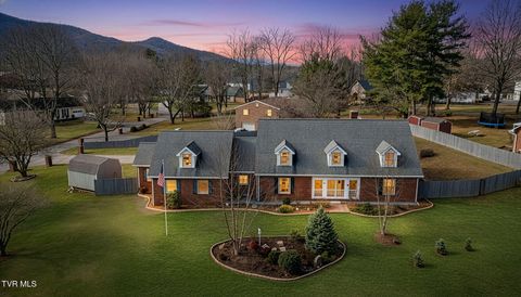 Photo of 3320 Martindale Drive, Johnson City, TN 37601 (MLS # 9989851)