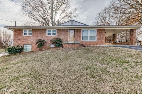 Photo of 215 Linda Street, Greeneville, TN 37743 (MLS # 9990731)