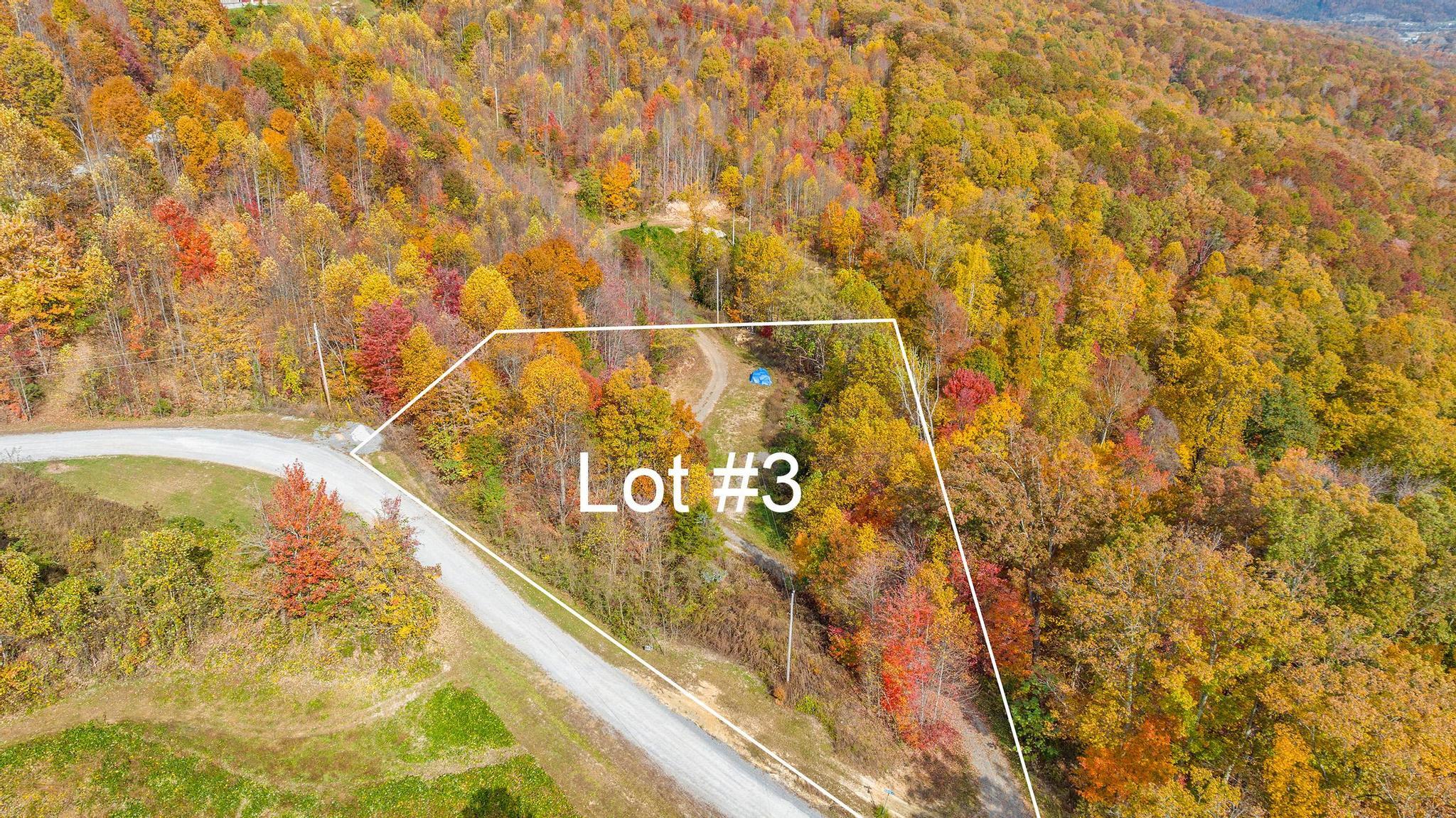 Tbd Majestic Lot 3 Drive, Duffield, Virginia image 1