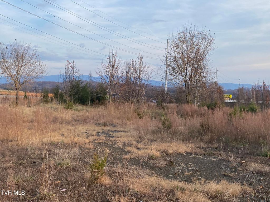 Photo of 3570 Highway 394, Bluff City, TN 37618 (MLS # 9989790)