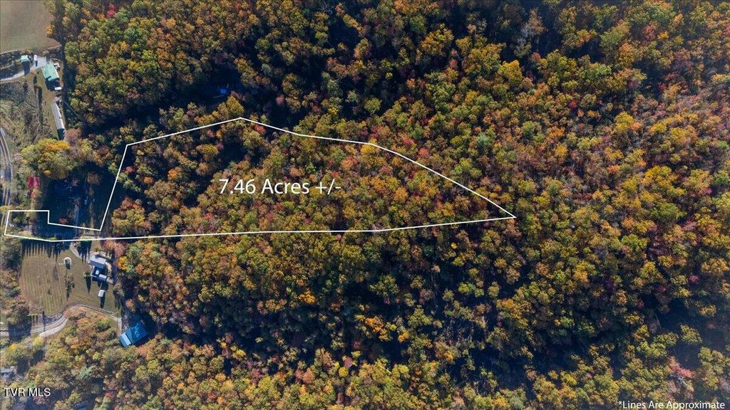 Photo of 1387 Dry Creek Road, Elizabethton, TN 37643 (MLS # 9987715)