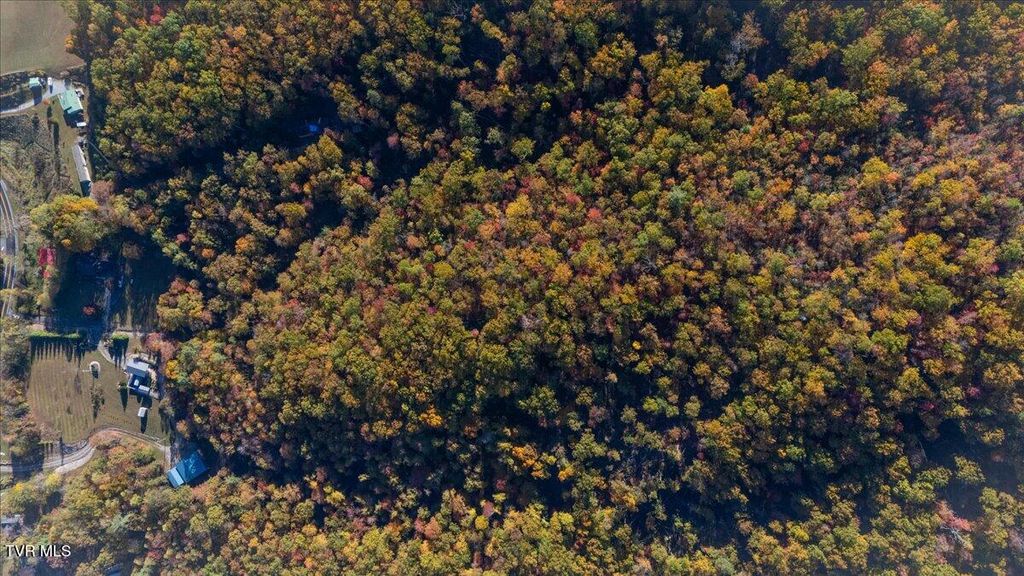 Photo of 1387 Dry Creek Road, Elizabethton, TN 37643 (MLS # 9987715)