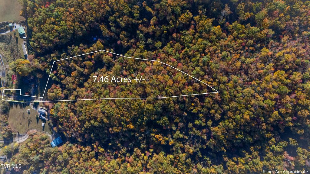 Photo of 1387 Dry Creek Road, Elizabethton, TN 37643 (MLS # 9987715)