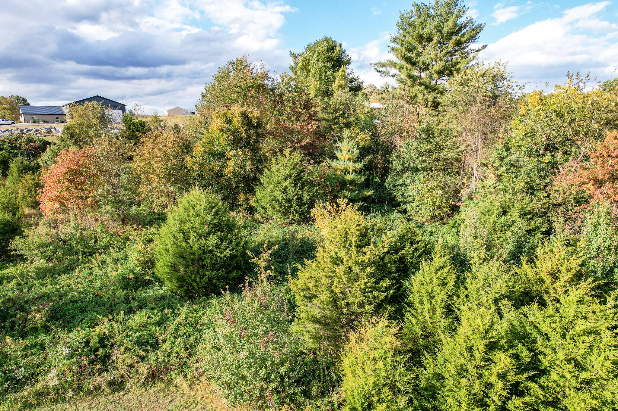 1.00 Acre+- Andrew Johnson 4733 Highway, Greeneville, Tennessee image 11