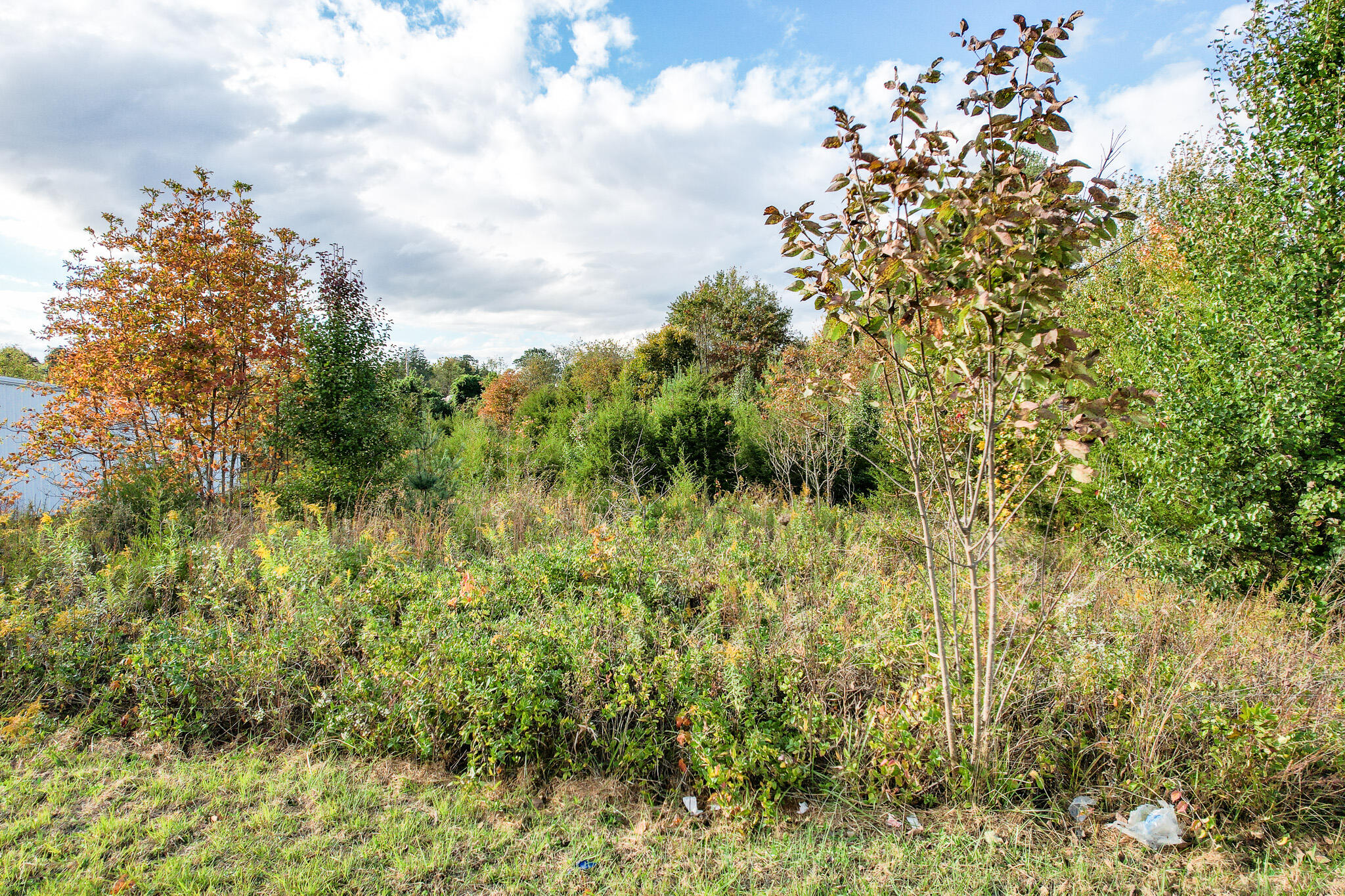 1.00 Acre+- Andrew Johnson 4733 Highway, Greeneville, Tennessee image 15