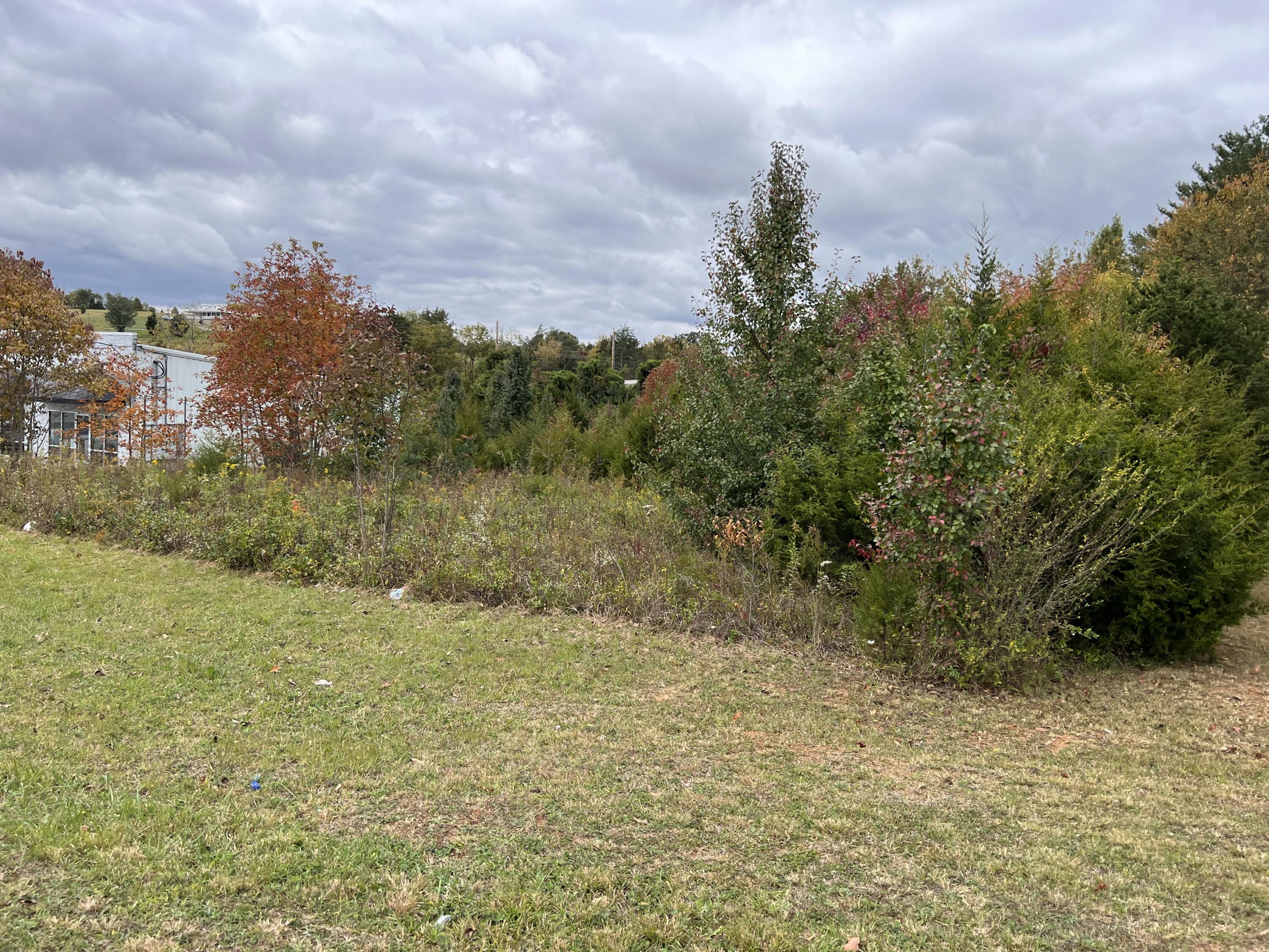 1.00 Acre+- Andrew Johnson 4733 Highway, Greeneville, Tennessee image 25