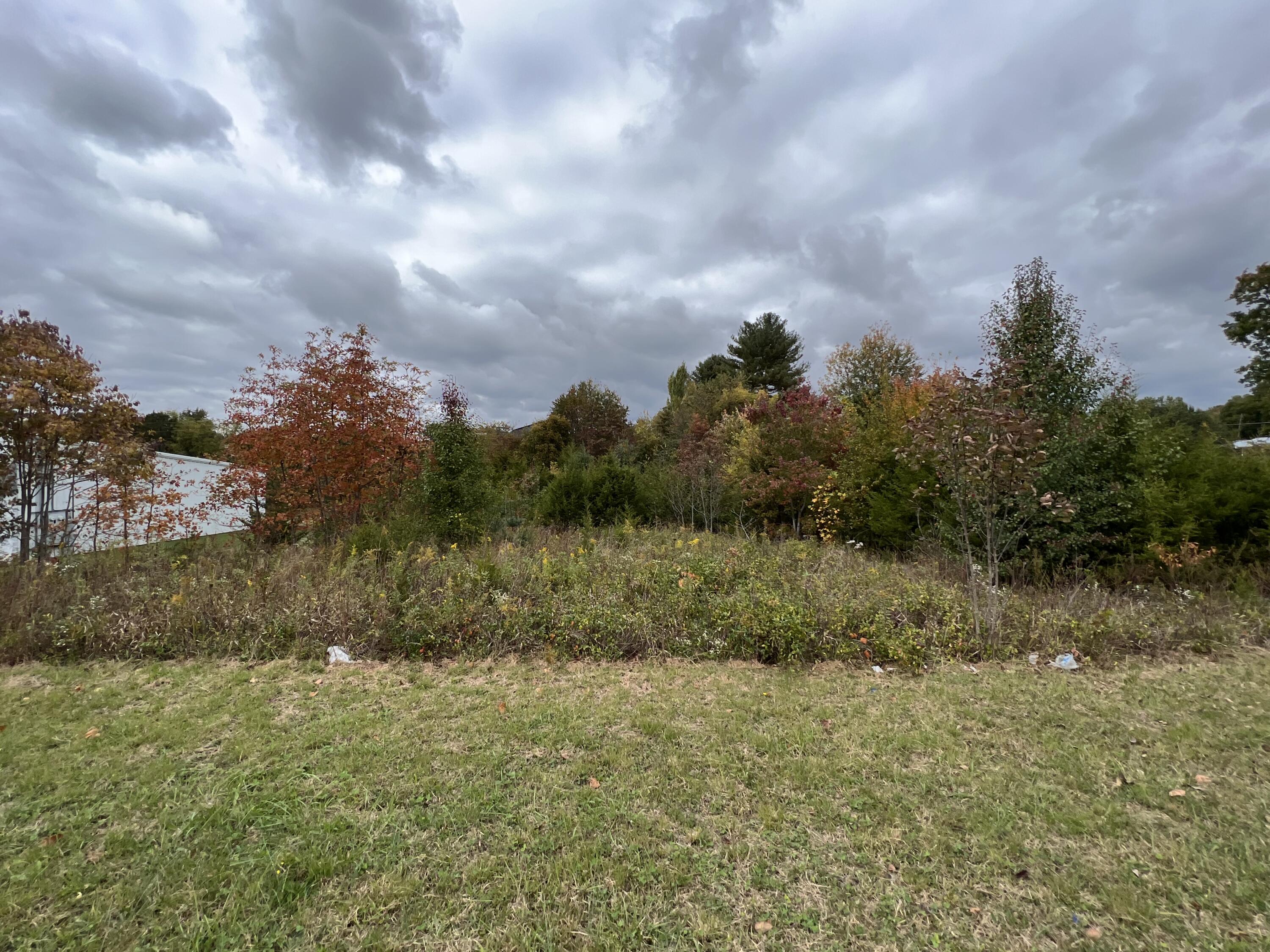 1.00 Acre+- Andrew Johnson 4733 Highway, Greeneville, Tennessee image 29