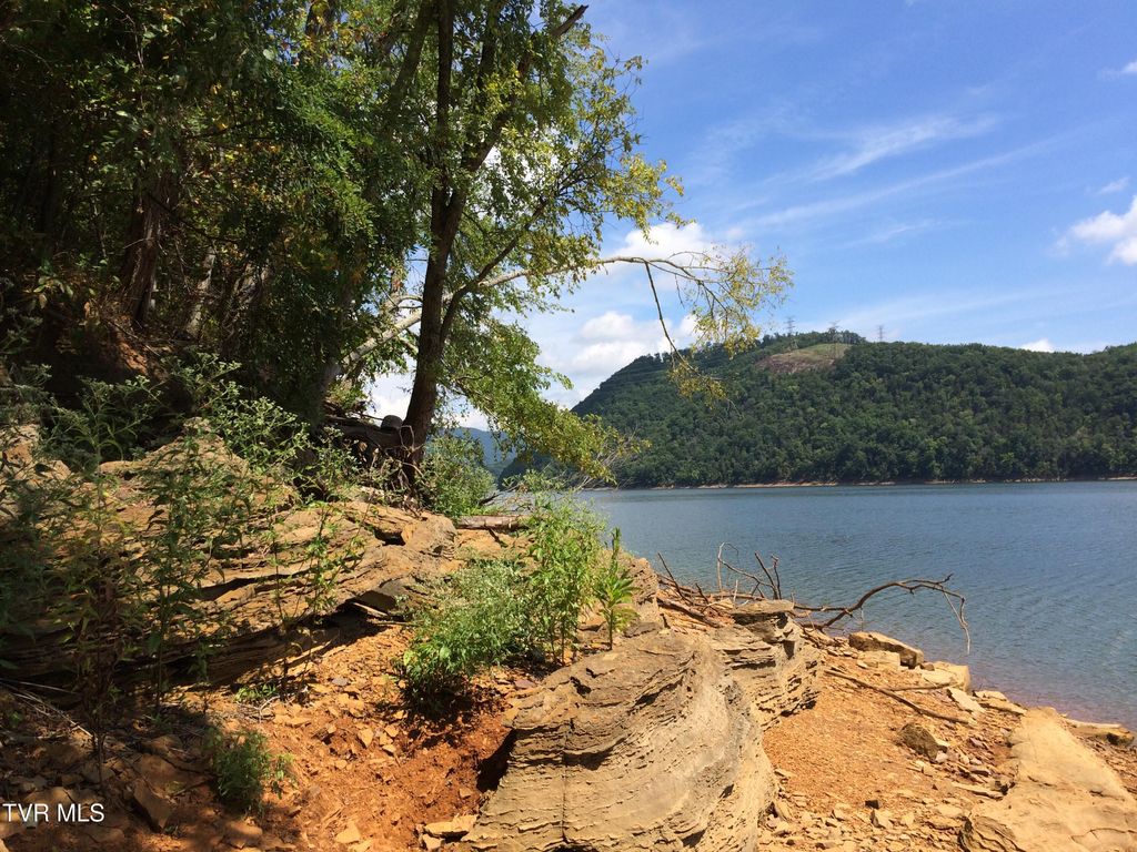 Photo of 1204 Waterview Lane, Mooresburg, TN 37811 (MLS # 9992478)