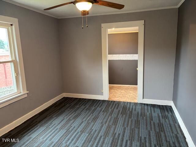 300 Cedar Street, Bristol, Tennessee image 16