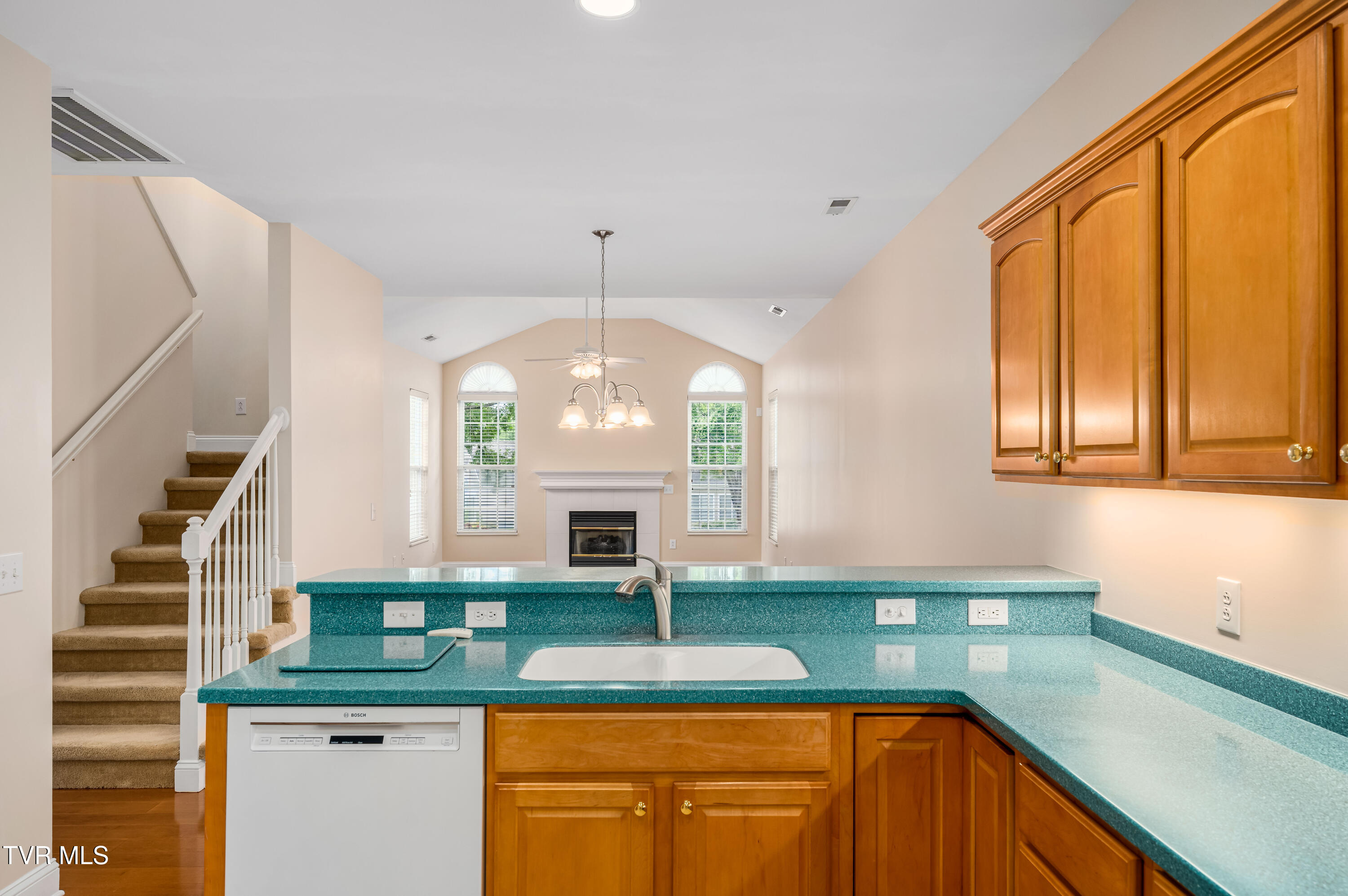 223 Avonlea Place, Johnson City, Tennessee image 4