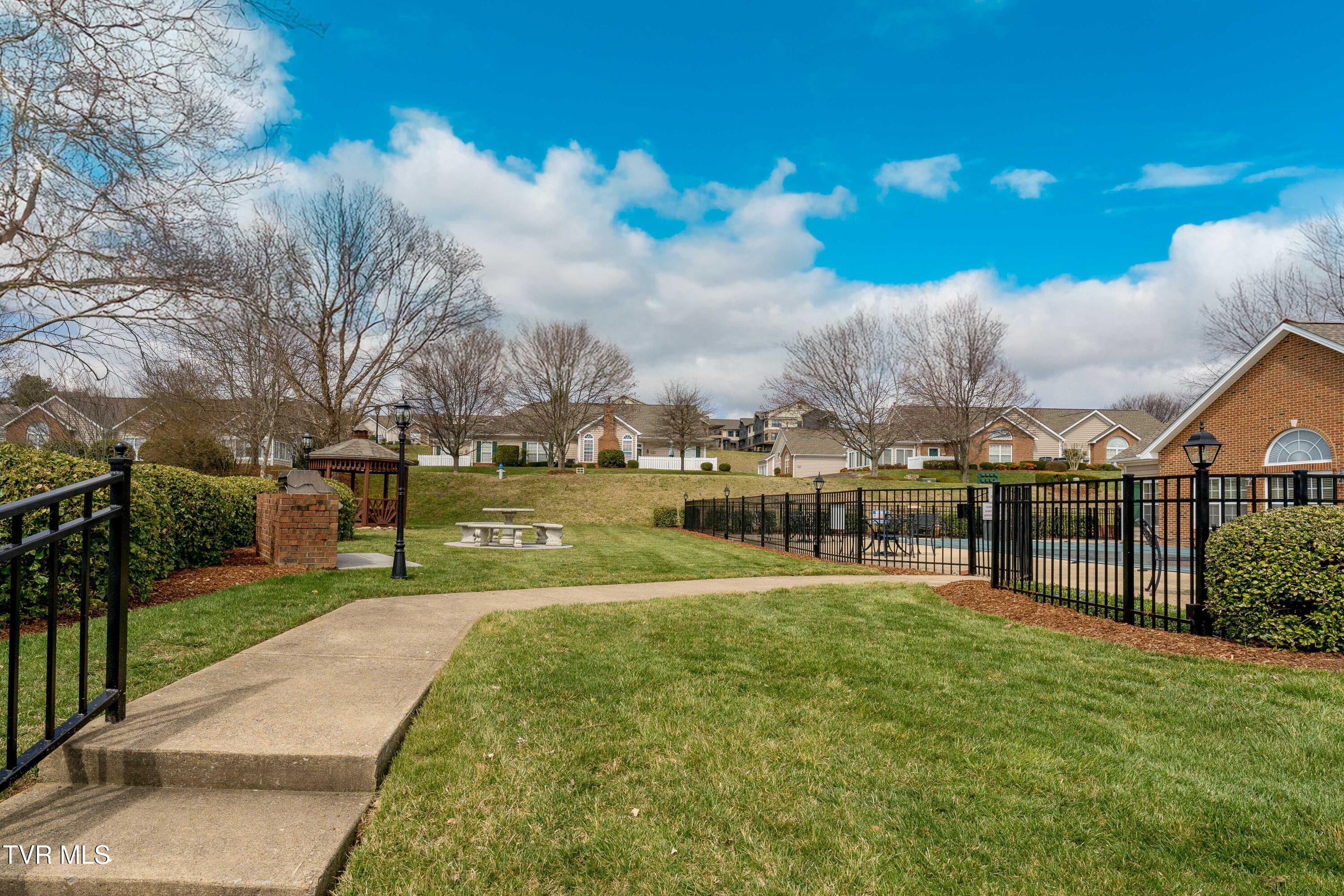 223 Avonlea Place, Johnson City, Tennessee image 39