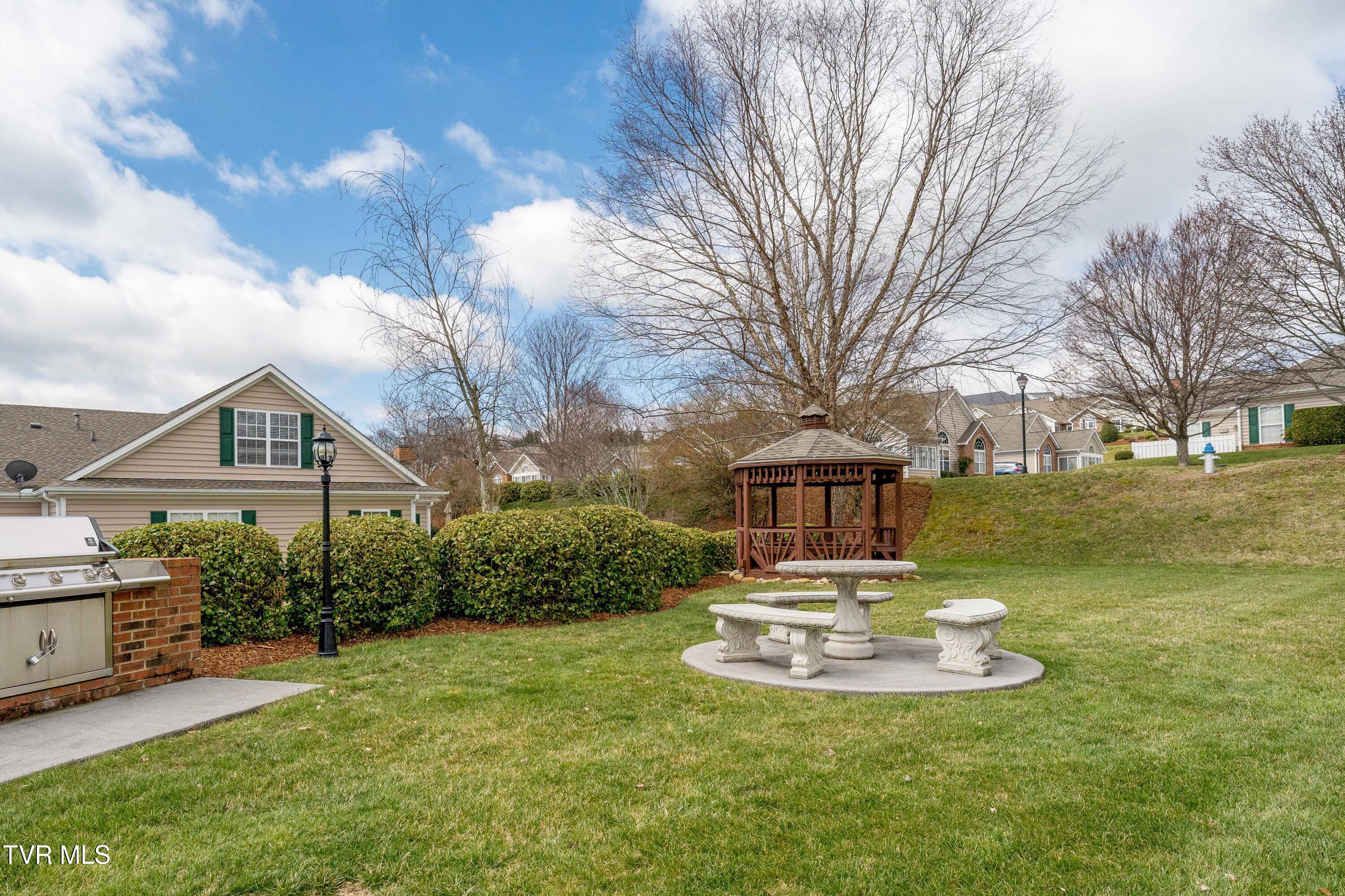 223 Avonlea Place, Johnson City, Tennessee image 35
