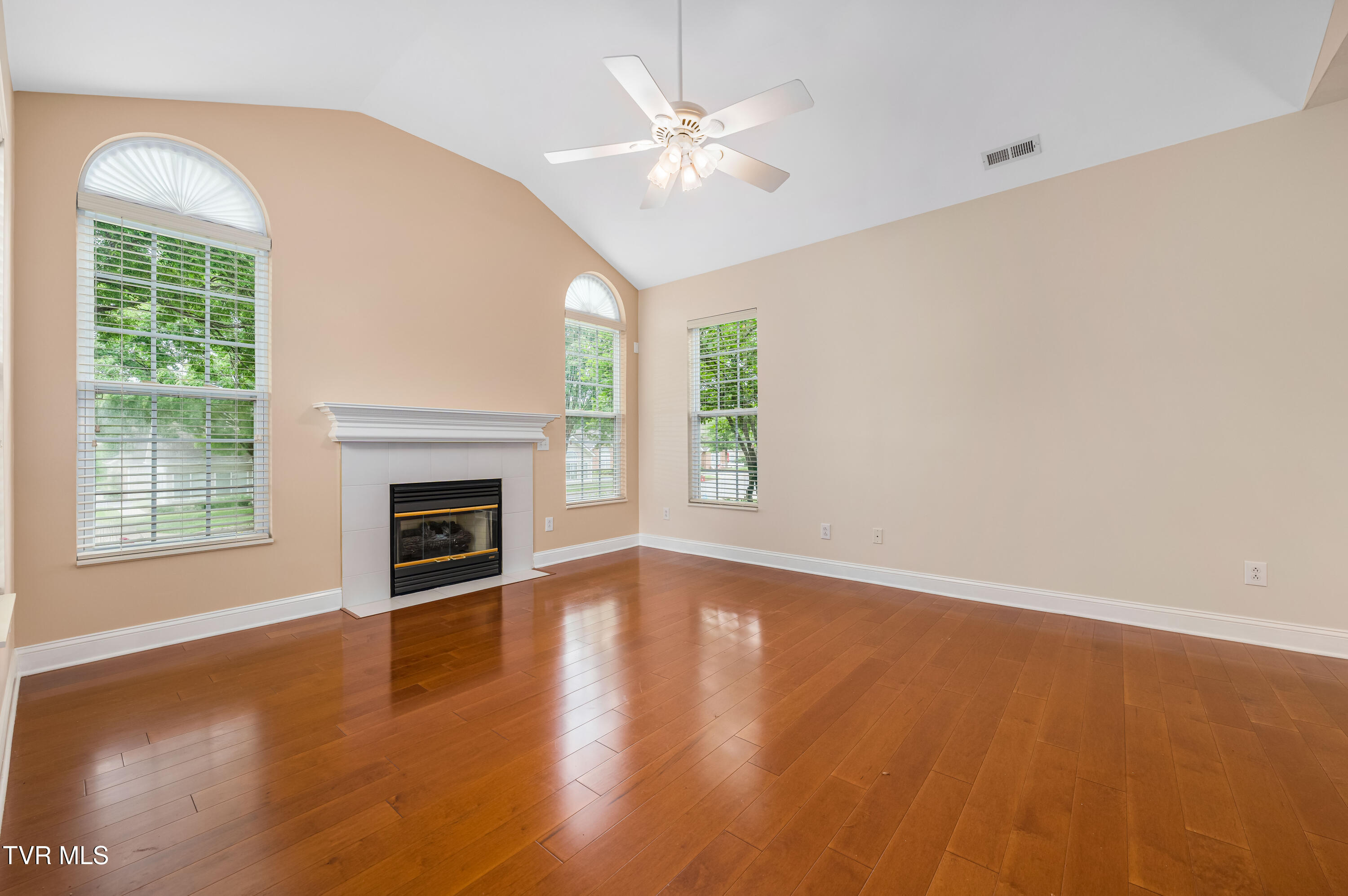 223 Avonlea Place, Johnson City, Tennessee image 3