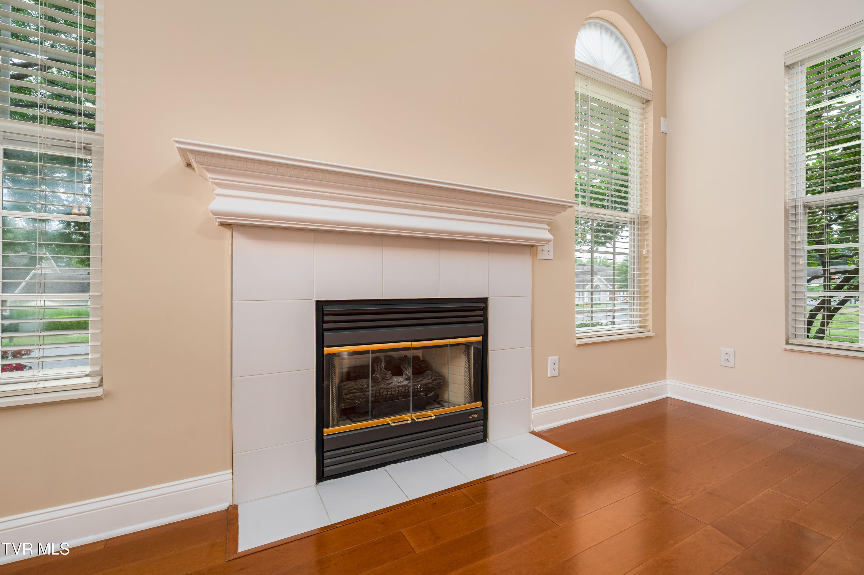 223 Avonlea Place, Johnson City, Tennessee image 16