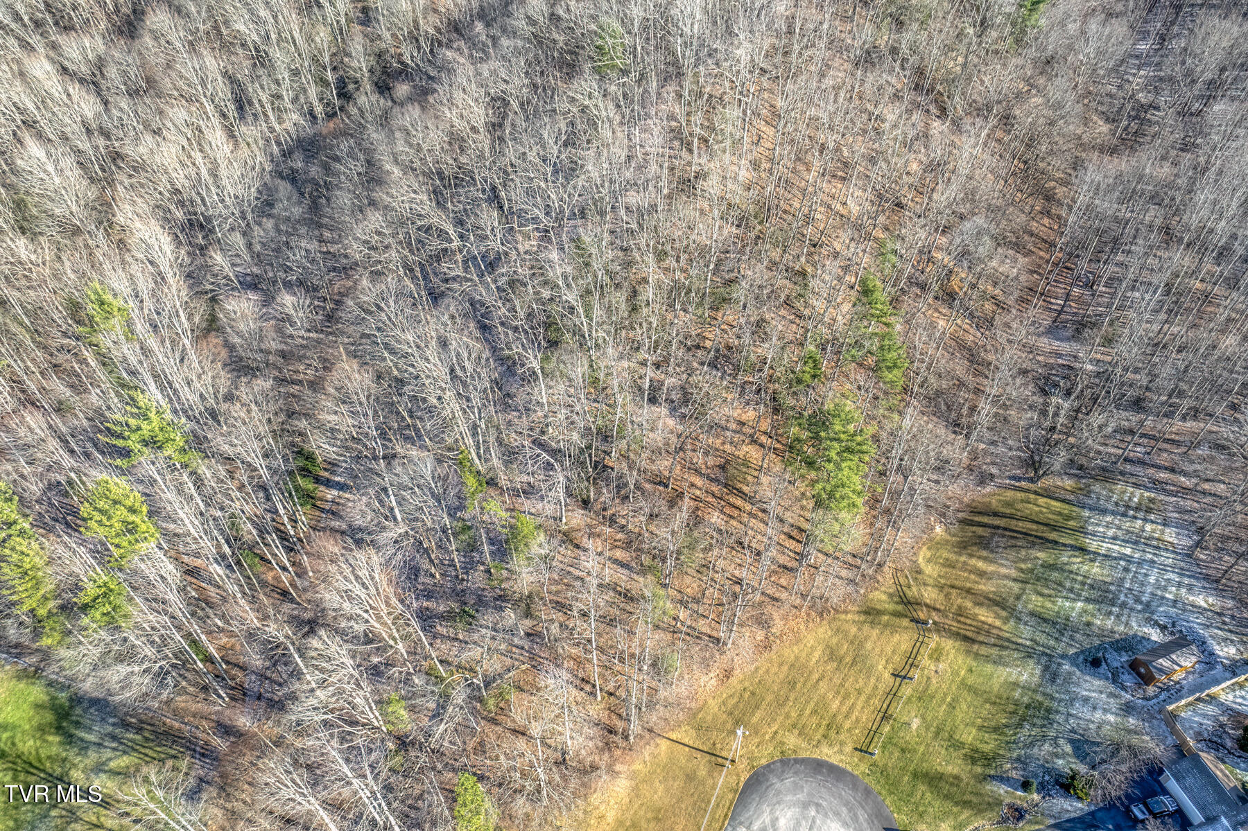 117 Buckner Drive, Roan Mountain, Tennessee image 9