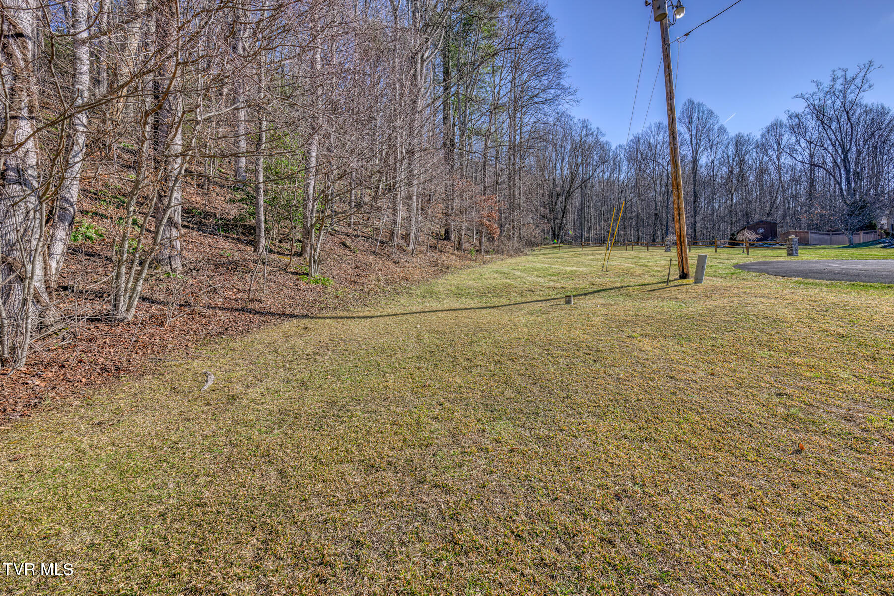 117 Buckner Drive, Roan Mountain, Tennessee image 4
