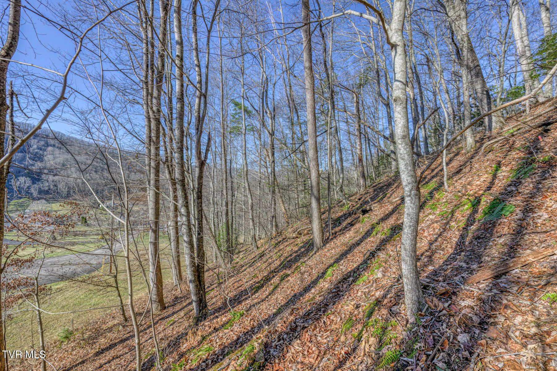 117 Buckner Drive, Roan Mountain, Tennessee image 8